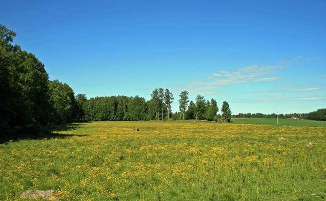 ÖREBRO HJÄLMARSHOLM 1:6 fast ersättning lämnas indirekt med 300 kronor.