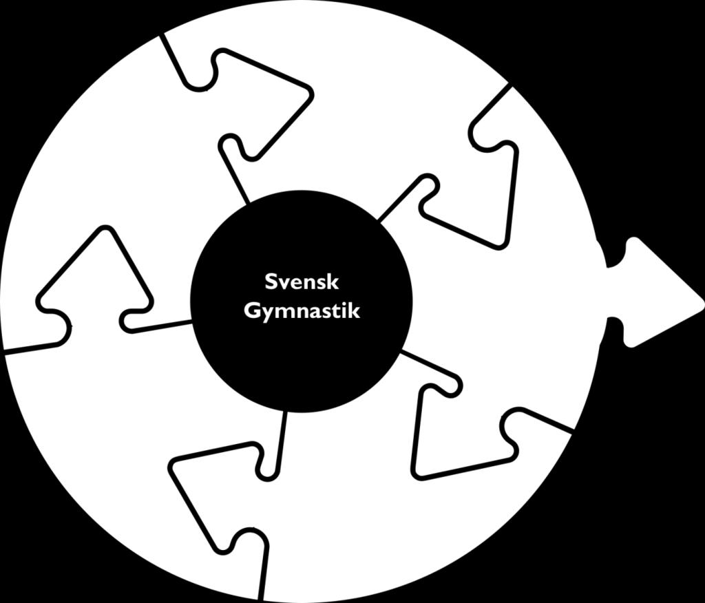 Det innebär att arbetet med att införa Svensk Gymnastiks utvecklingsmodell med tillhörande nyckelfaktorer fortsätter vara i fokus även under kommande verksamhetsår.