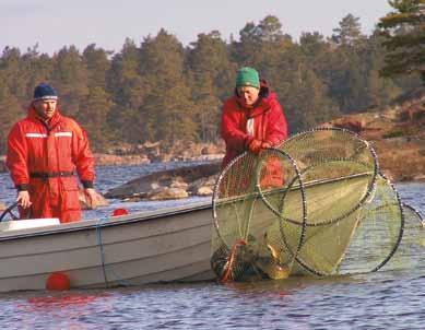 Kustfisk bestånd Jan Andersson, SLU 1 miljö ÖVERVAKNING Övervakningen av kustfiskens bestånd görs för att kartlägga naturliga variationer och fånga upp förändringar som kan kopplas till miljöpåverkan