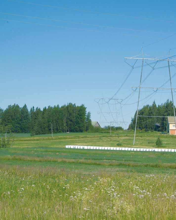 Gårdsträden och kraftledningen Hantering av träden på gårdsområdena är en viktig uppgift som Fingrid vill ta hand om på bästa möjliga sätt.