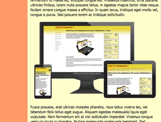 Lägg &ll en s&l för img och säp max-width &ll 100%.