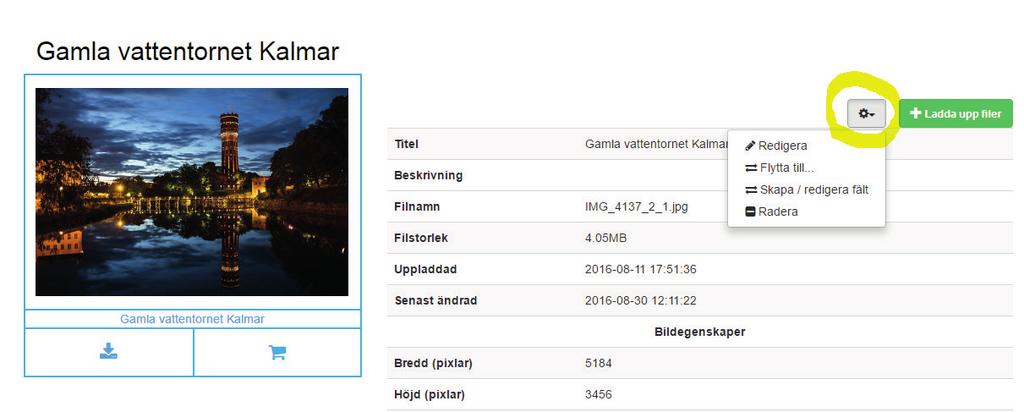 ADMINISTRERA FILER & FILDATA För att administrera fil eller fildata klickar ni först på berörd fil från den kategori den ligger i.