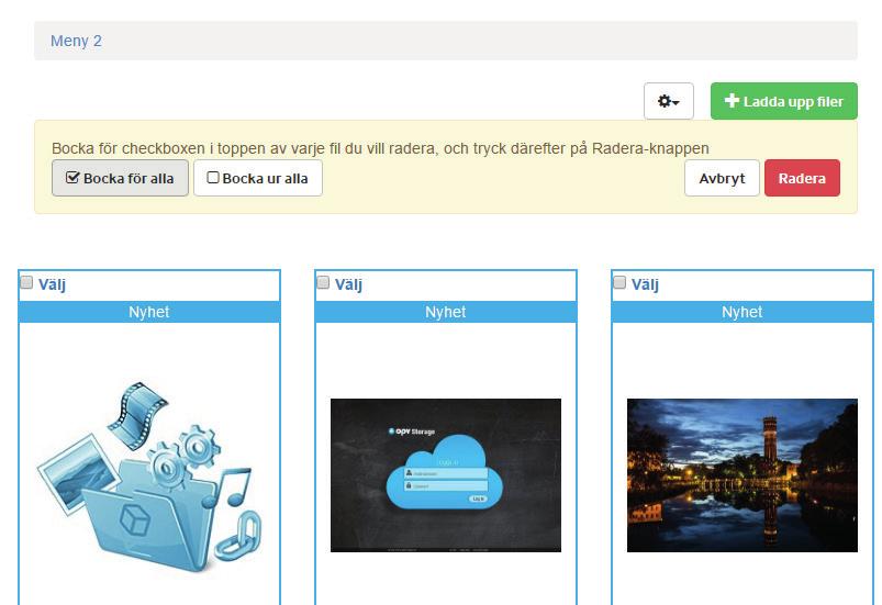 ADMINISTRERA FILER & FILDATA Multi-Radera 1 Radera en eller flera filer görs via valfri kategori. I ovan exempel väljs alternativet från Meny 2.