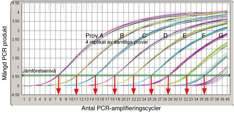 northern blot analys Ger information om 1) mrna nivåer samt 2) mrna storlek(ar). Ett mrna har en specifik längd som beror av genens struktur och hur "splicingen" sker.