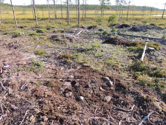 22 Bild 5 Raä 279:2,, härd, rensad från