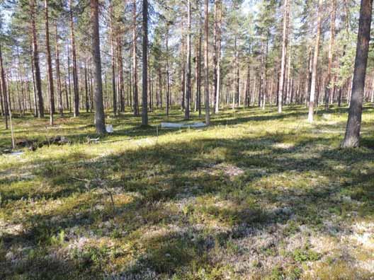 23 Bild 7 Raä 341,, miljöbild NÖ.