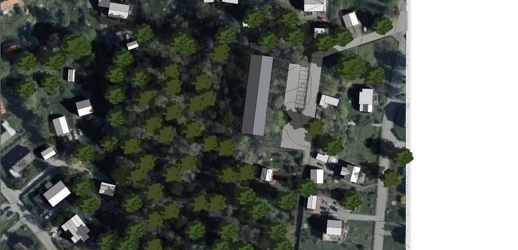 Planen utformas med en buffertzon (naturmark) i anlutning till branten i väster vilket påverkar detaljplanens byggrätt och därmed placering av byggnad. 100-åriga tallar klippblock Höjdparti Bild 3.