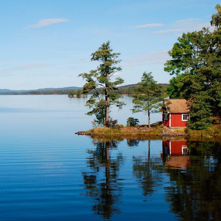 Övrig intern öppenvård kan bestå av nätverksarbete, gruppverksamhet, riktad dagverksamhet, alkohol- och drogkontroller eller övriga insatser.