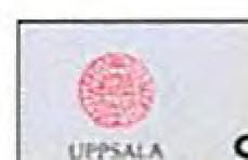 upplevde mer symtom och besvär jämfört med