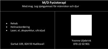 Sören,,,,,0 G 0-- -- Eriksson Ulf,,,,,,,0 BS -- 0 0 -- Eskilsson Claes RO -- 0-- Forsberg Anna-Lena a B 0 -- -- Fransson Fredrik a, BS -- 0 -- Grundmann Peter H -- --0 Göstas Ralf a * Hansson Emmy f