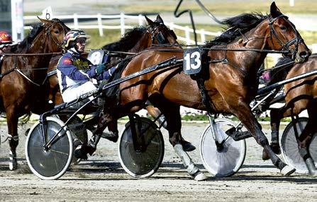 Defilering i lopp kl. HAGMYREN 0 M VOLTSTART.00 -.0.000 kr. 0 m. Voltstart. BANKOD Pris:.000-.000-.00-.00-.00-.00(.00) kr. START.