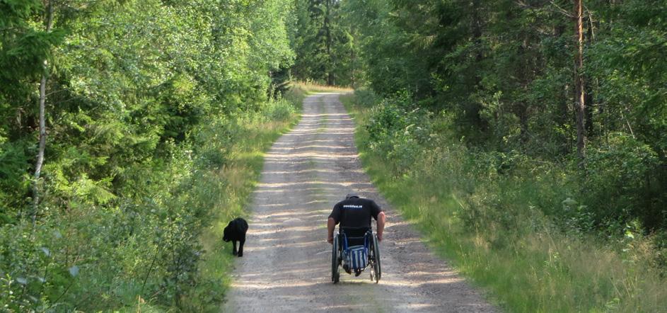 Anläggningen hyser ett av stadens starkaste varumärken och är till stor glädje för kommunens invånare, samtidigt som det lockar många utifrån att besöka Skövde och turista här.