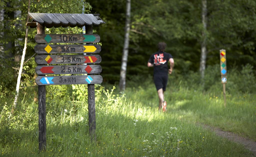 billingen - en historisk vision 4.3 vägen mot målet För att nå ovanstående målbild är investeringar av olika slag nödvändiga.
