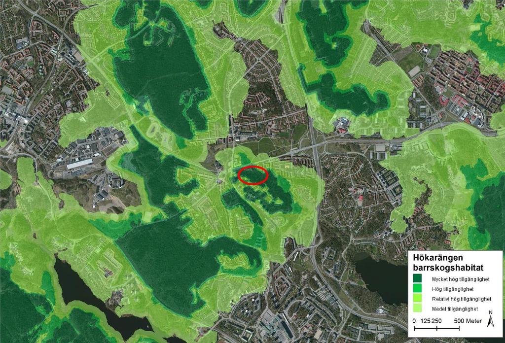 11 (18) Utredningsområdet ingår i ett kärnområde. Detta kärnområde är sedan, via en spridningszon genom villaområden, anslutet till Fagersjöskogen.
