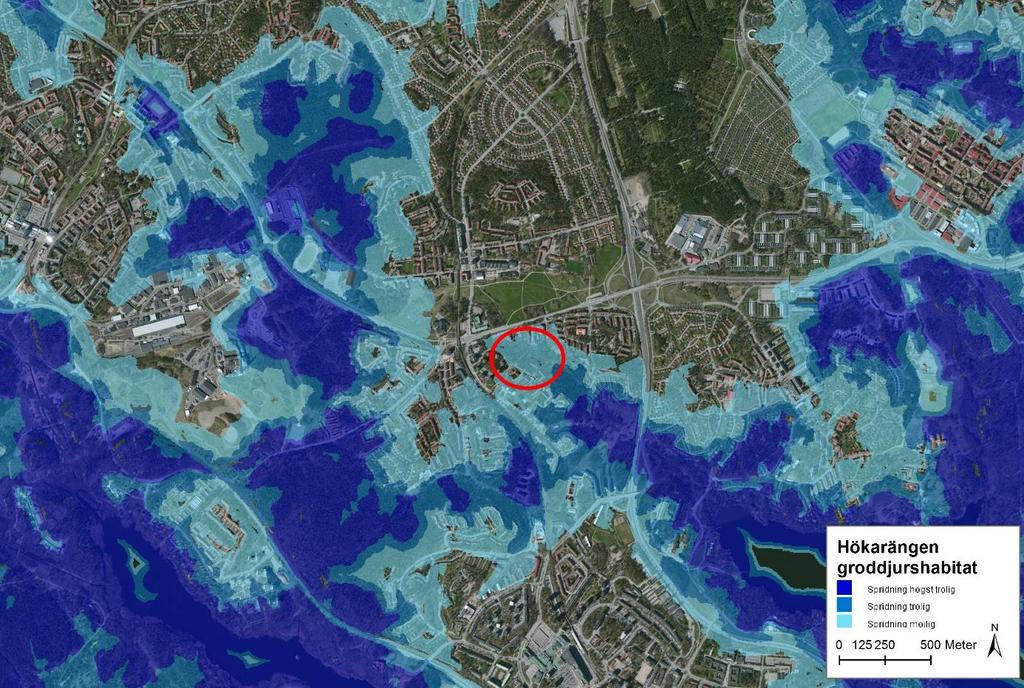 12 (18) det eventuellt möjligt för groddjur att röra sig genom den kulvert som går under vägen och avvattnar Skönstaholmsfältet.