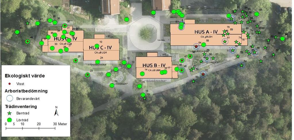 Underlag från Svenska hem, trädinventering och stadens kartmaterial samt egen bedömning.