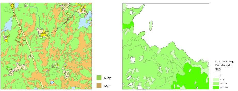 Figur 9. Vänster: NILS 5x5 km ruta med skog och myr. Höger: NILS 1x1 km ruta med övergång från fjällbjörk (% krontäckning) till kalfjäll.