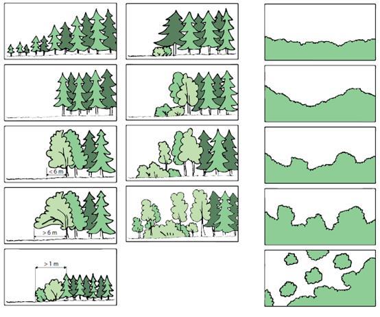 Figur 10: Klasser av brynprofil; från vänster och uppifrån: 1) Trädbryn, kontinuerligt; 2) Trädbryn, utan skogsmantel; 3)Trädbryn, tvär skogsmantel; 4) Trädbryn,