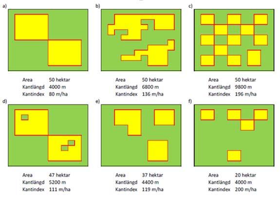 Figur 15. Ett högt kantindex (kantlängd dividerat med fläckens totalarea; m/ha) visar på en högre grad av småbrutenhet och komplexitet hos fläckarna. Vid låga arealer blir dock kantindex högt oavsett.