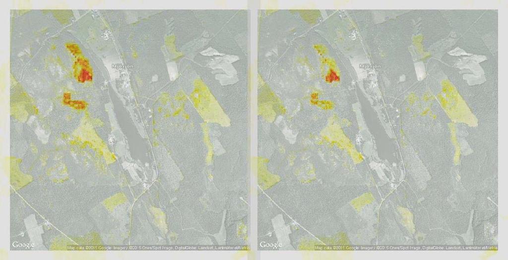 Figur 20. Modell med täckningsgrad av marklav för ett 8x8 km stort område i södra Västerbottens kustland som bygger på fältdata i NILS och data från satellitbilder och laserscanning.