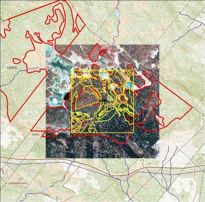Fältdata och flygbildsdata i komb