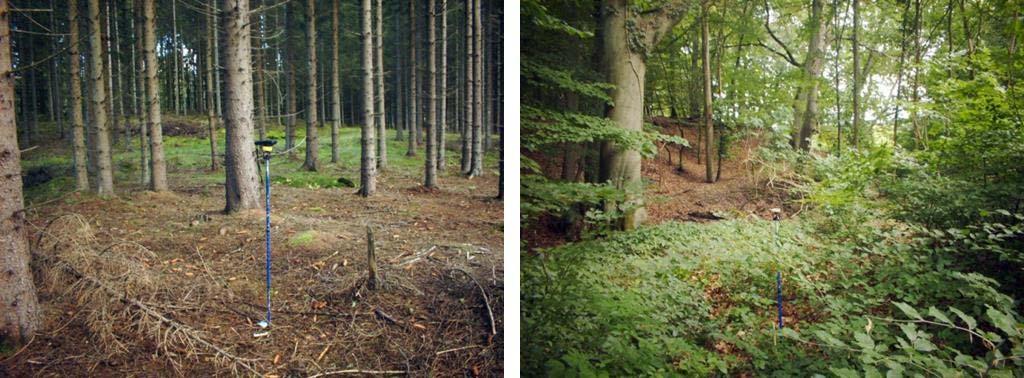Figur 24. Fältfoton från två NILS provytor i skog Figur 25.