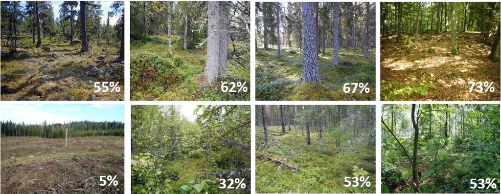 Övriga svarsalternativ var inte alls, något, delvis. Från Rapporten Friluftsliv 2014 36.