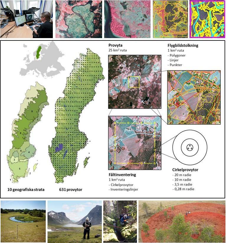 detaljerad information finns i Ståhl m.fl. (2011) 6 och i NILS inventeringsmanualer 7 8. I NILS flygbildstolkning görs vissa avsteg från enhetlig metodik och variabelregistrering.