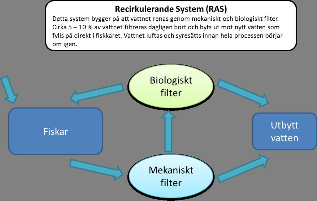 1. Recirkulerande vattenbruk, RAS (Recirculating Aquaculture Systems) Detta system bygger på att vattnet som fisken odlas i, återanvänds.