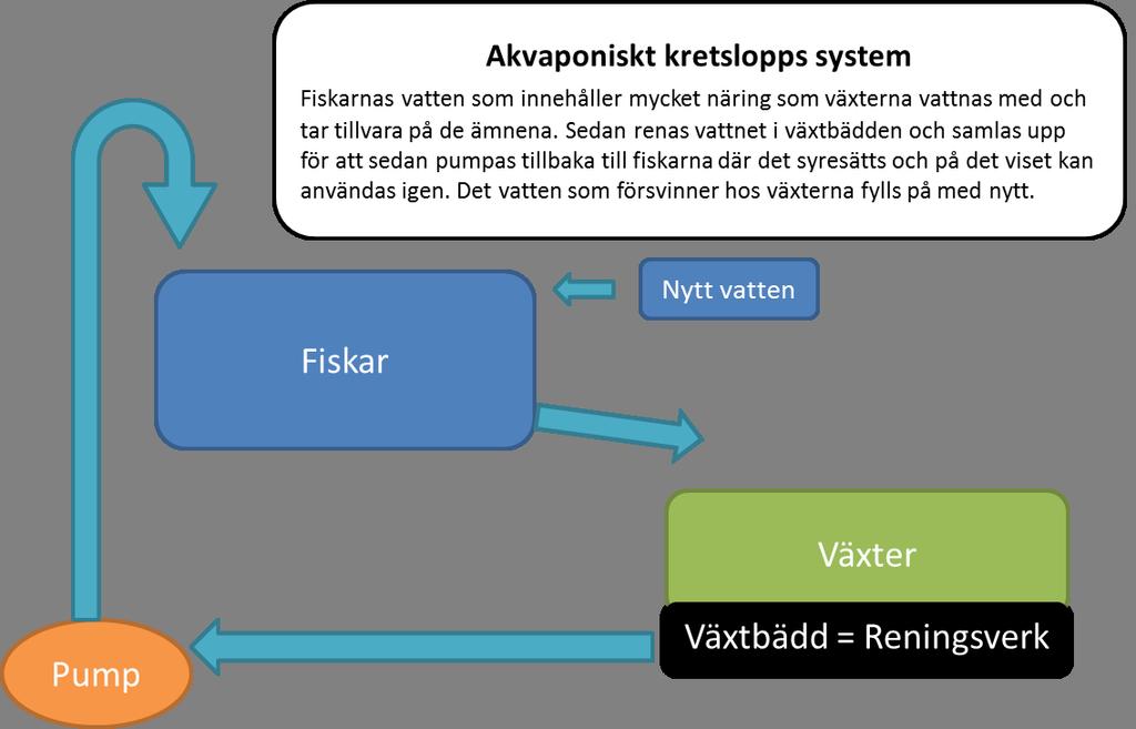 fall där uppfödarna har kombinerar systemet med spillvärmen från t.ex. pappersbruk, främst då för att värma upp växthusen samt i fisktankarna för att höja produktionen.