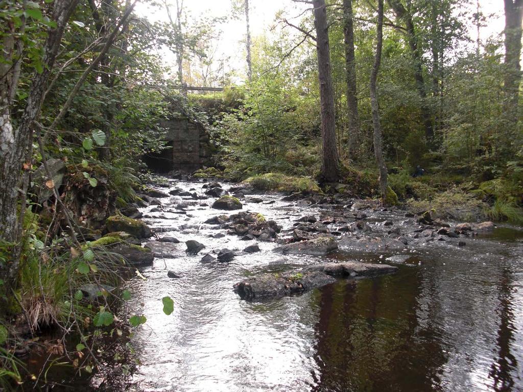 Elprovfiske 213
