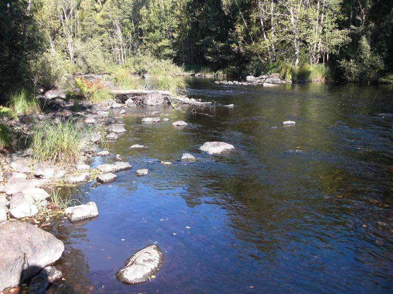 ELPROVFISKE 213 32 3.9 Alsterån, Strömsfors EF59 ARO Kommun Lokalkoordinater x-y H ö h Datum Areal 75 Alsterån Mönsterås 631697-15314 22 m 213925 186 m 2 Figur 27. Elfiskelokalen.