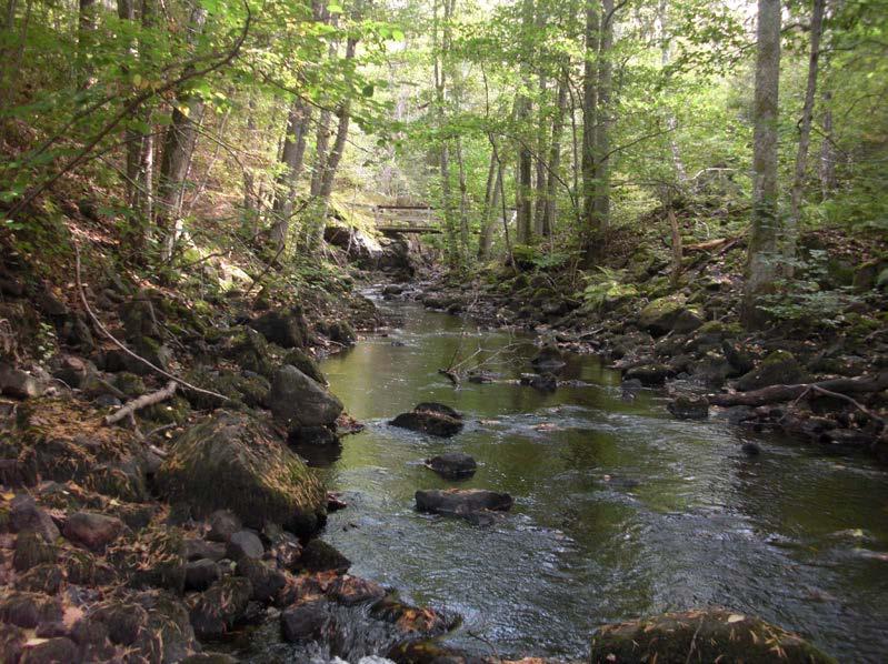 ELPROVFISKE 213 47 3.16 Marströmmen, Götehultsströmmen EF82 ARO Kommun Lokalkoordinater x-y H ö h Datum Areal 72 Marströmmen Oskarshamn 63739-1543 15 m 213918 164 m 2 Figur 49. Elfiskelokalen.