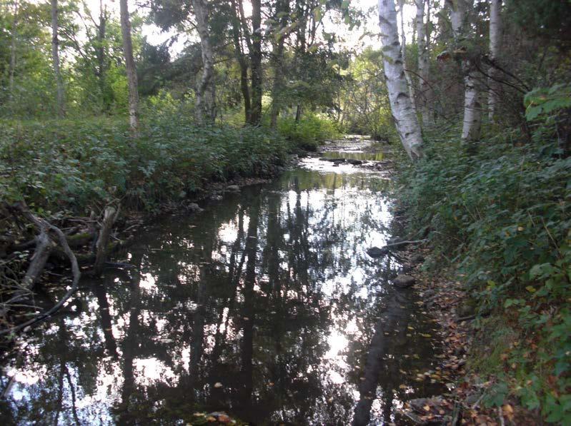 ELPROVFISKE 213 53 3.19 Frösslundabäcken, Frösslunda sjömark EF86 ARO Kommun Lokalkoordinater x-y H ö h Datum Areal 119 Öland Mörbylånga 6268855-1549485 1 m 213921 168 m 2 Figur 58. Elfiskelokalen.