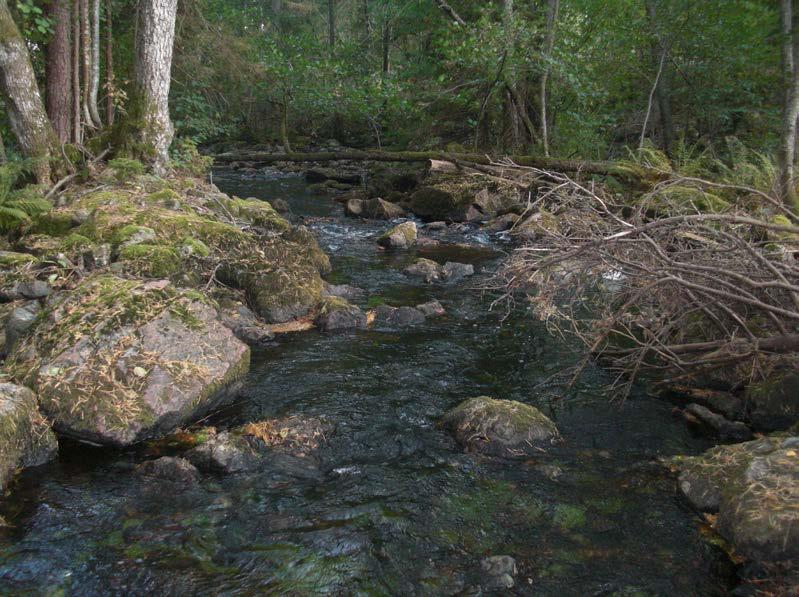 ELPROVFISKE 213 63 3.24 Virån, Bredsjöns utlopp EF92 ARO Kommun Lokalkoordinater x-y H ö h Datum Areal 73 Virån Oskarshamn 635995-153195 5 m 213925 96 m 2 Figur 72. Elfiskelokalen.