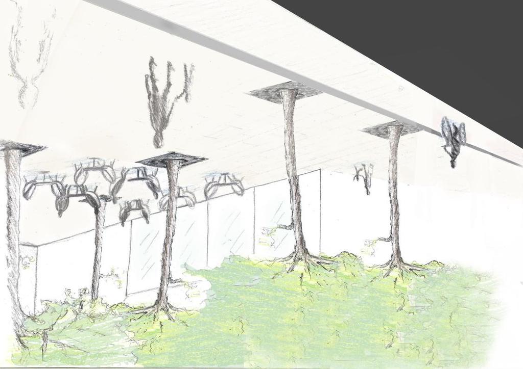 11 (16).2 Idéförslag Utanför entré 1, se planskiss 2, till den nya utbyggnaden finns det plats för att skapa en utökad entré med torgkaraktär. Längs med cykelvägen föreslås trädplanteringar.