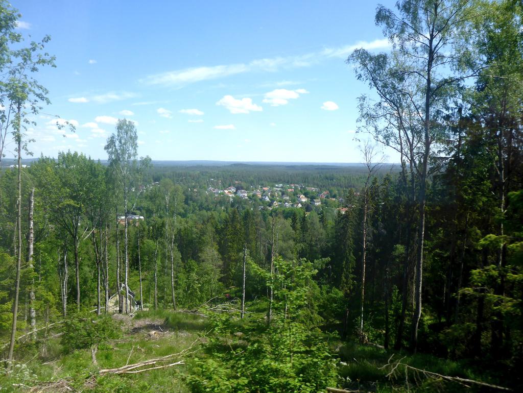har boskapsskötsel utgjort en viktig del av jordbruket på det småländska höglandet. Landskapstypen har historiskt sett inbegripit några av landets största utbredning av ängs- och betesmarker.
