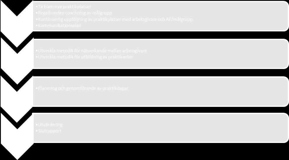 Kommunikationsplan Temporära (mars och september) Planering och genomförande av praktikdagar (i