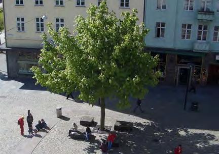 Diagonalen samspelar med Storgatans riktning och blir en välkomnande gest och sekvens i den västra entrén.
