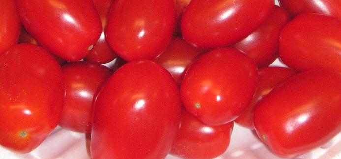 SORTIMENT 2017 VANLIGA TOMATER Audiance F 1 (HR:ToMV:0-2/TSWV/Ff:A-E/Fol:0,1/For/Va:0/Vd:0 IR:On) En högproducerande, rund, röd tomat med enhetliga frukter som inte väger mer än drygt 100 g.