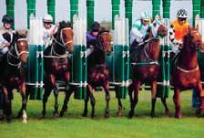 POSTTIDNING A Pris kr u Returadress: Täby Galopp, Box 9, 8