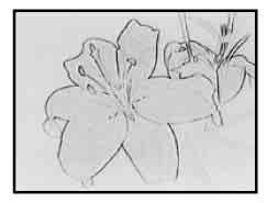 PICT.EFFECT (bildeffekter) Du kan lägga specialeffekter till en bild under inspelning. visas. B OFF Inställningen [PICT.EFFECT] används inte. SEPIA Bilderna visas sepiafärgade (bruntonade).