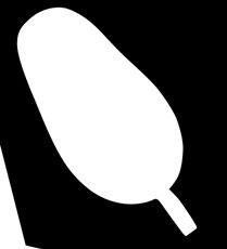 Värm rödbetorna enligt anvisningar med olivolja/rapsolja, svartpeppar och flingsalt.