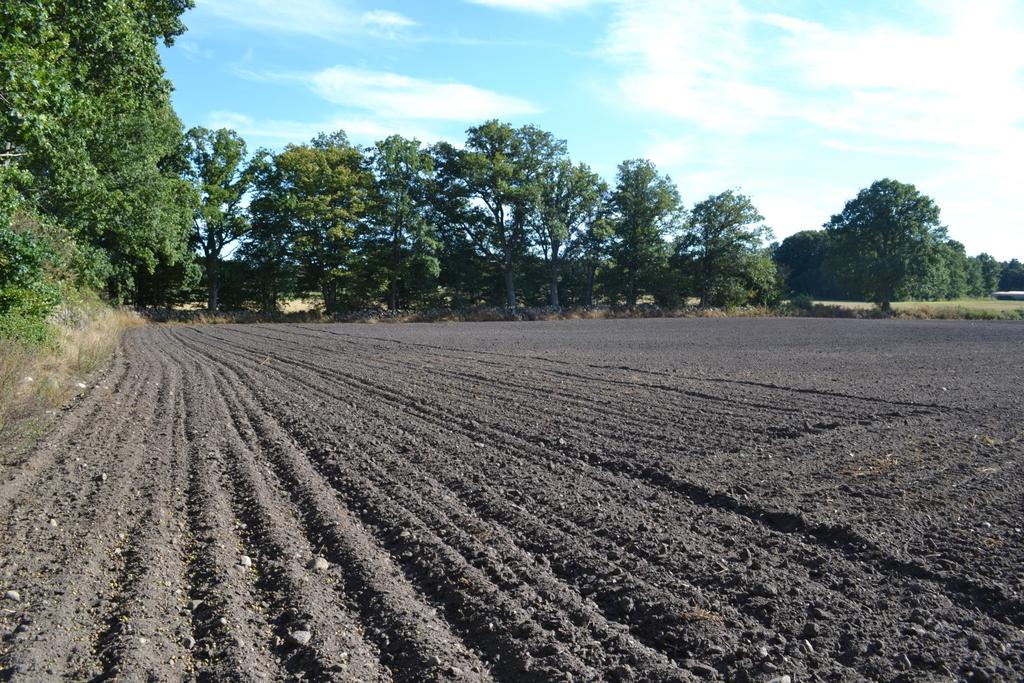 Åker och skogsmark Lörby 12,5 ha