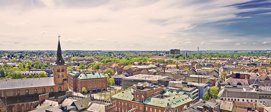 12 Vi ses i Odense!