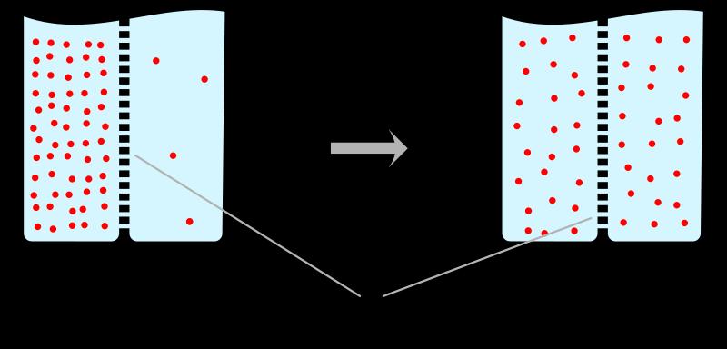 Diffusion