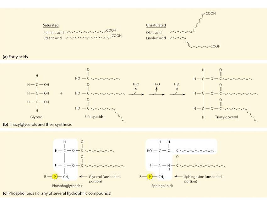 Fig 3-27