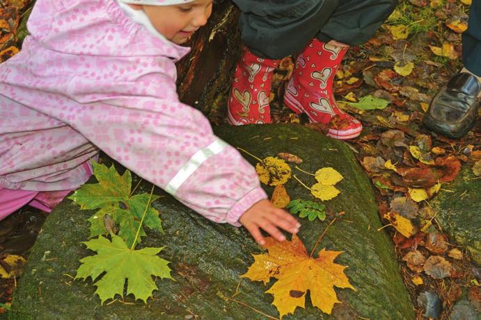 Barnet kan försöka hitta ett löv som täcker handen eller ett löv som är större än eller bara täcker halva handflatan.