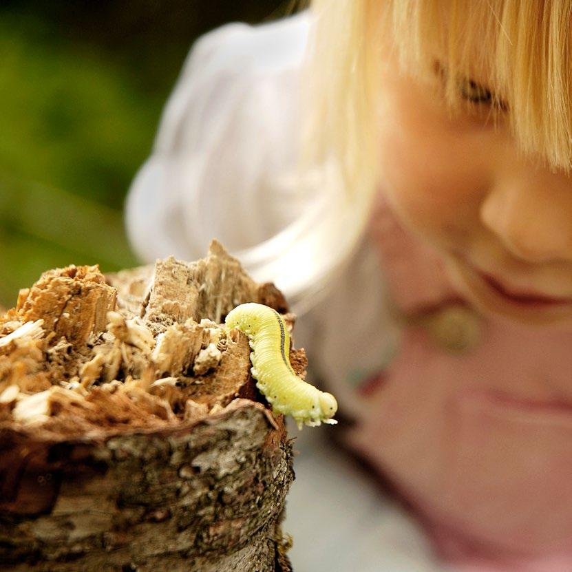 8 SKOLA FÖR