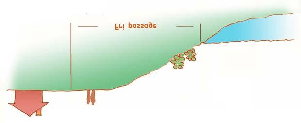 Fri passage Enligt 7 kap 18 miljöbalken ska ett beslut om att upphäva eller ge dispens från strandskyddet inte omfatta ett område som behövs för att mellan strandlinjen och byggnaderna eller